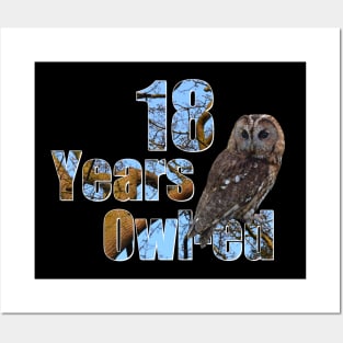18 years owl-ed (18 years old) 18th birthday Posters and Art